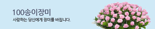 100송이장미