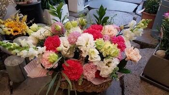 카네이션꽃바구니/부산지역꽃배달/기장강서구제외입니다