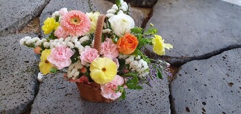 미니 꽃바구니/ 감사 .생일,기념일 등축하꽃바구니/부산지역꽃배달/기장 강서구 제외입니다
