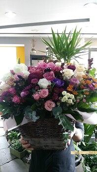 꽃한아름/부산지역꽃배달/기장강서구제외입니다