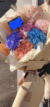 수국 프리저브드플라워 드라이플라워 대형꽃다발/부산지역꽃배달