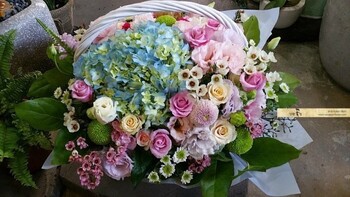 수국러블리꽃바구니/부산지역꽃배달